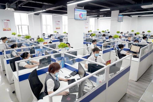 西城区开展“政务服务体验员”活动，打通咨询电话“最后一公里”